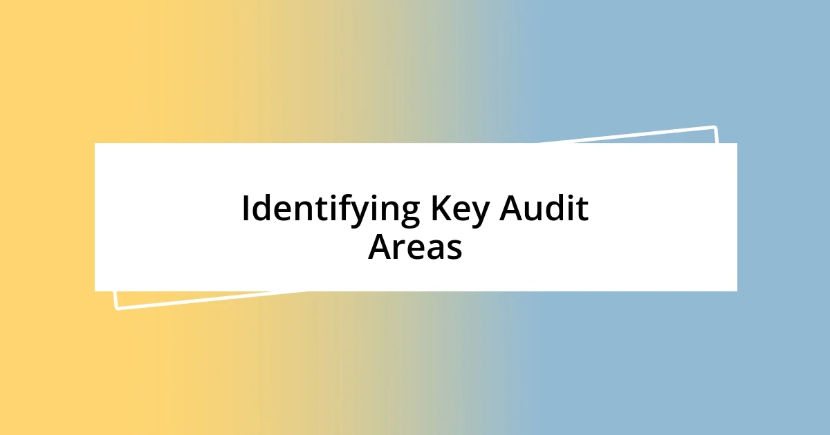 Identifying Key Audit Areas